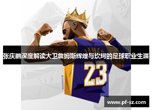 张庆鹏深度解读大卫詹姆斯辉煌与坎坷的足球职业生涯