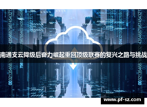 南通支云降级后奋力崛起重回顶级联赛的复兴之路与挑战