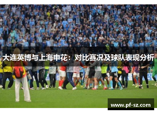 大连英博与上海申花：对比赛况及球队表现分析