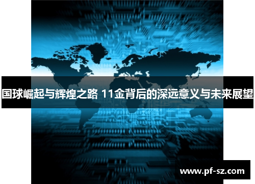 国球崛起与辉煌之路 11金背后的深远意义与未来展望