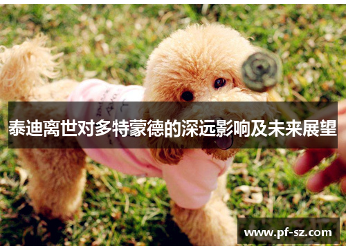 泰迪离世对多特蒙德的深远影响及未来展望