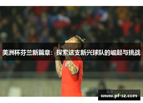 美洲杯芬兰新篇章：探索这支新兴球队的崛起与挑战