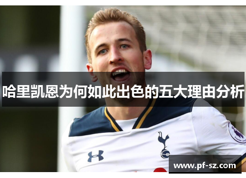 哈里凯恩为何如此出色的五大理由分析