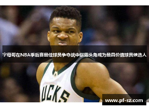 字母哥在NBA季后赛最佳球员争夺战中崭露头角成为最具价值球员候选人
